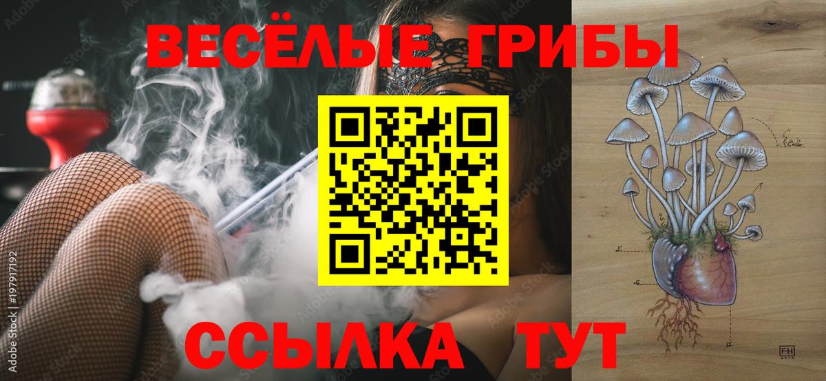 Псилоцибиновые грибы Psilocybine cubensis  Галлюциногенные грибы Psilocybe  Углич  Вход с VPN 